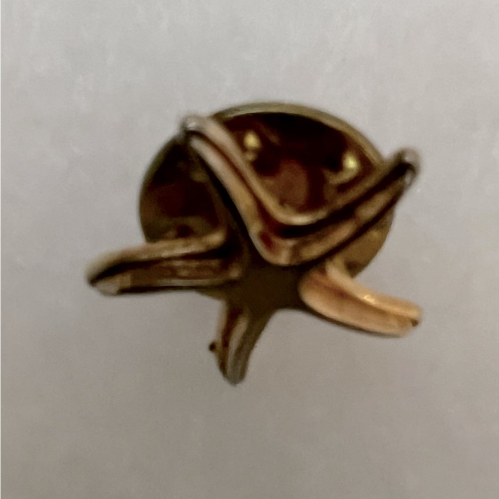 Starfish Pin - Picture 2 of 2